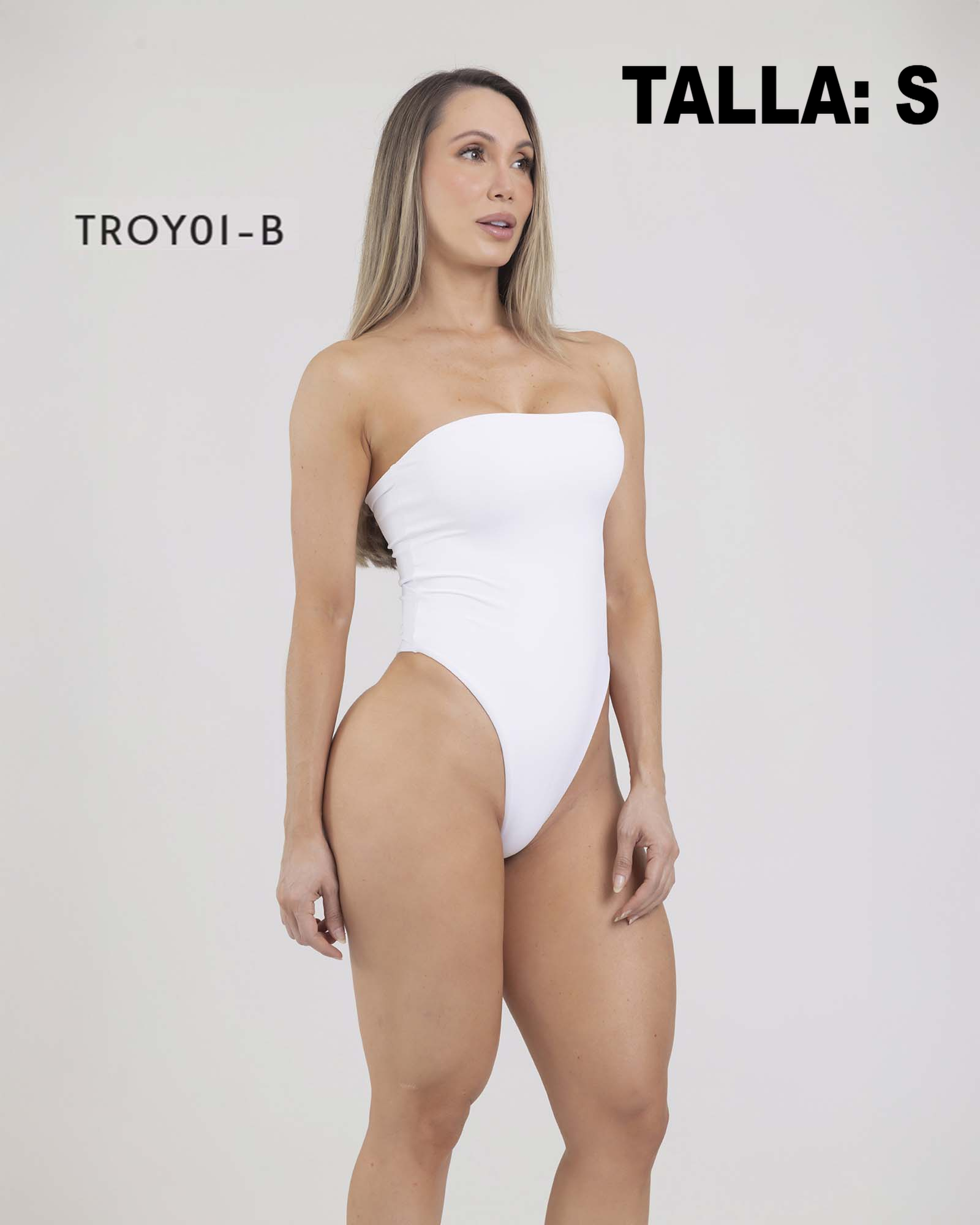 TROY01B S