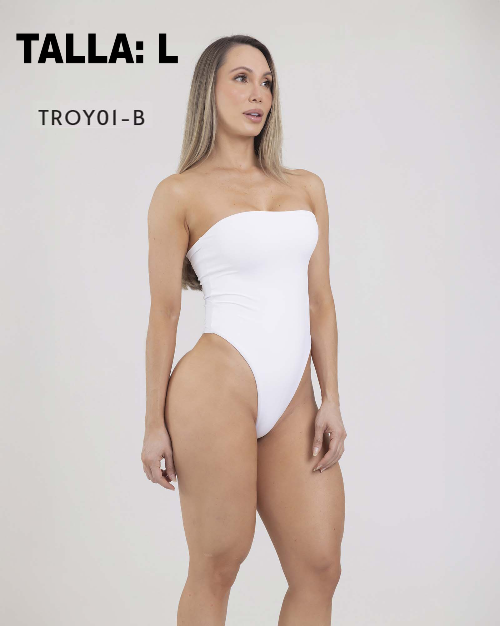 TROY01B L