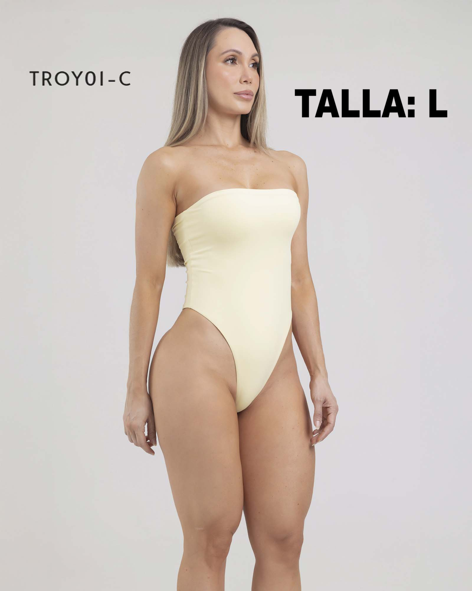 TROY01C L