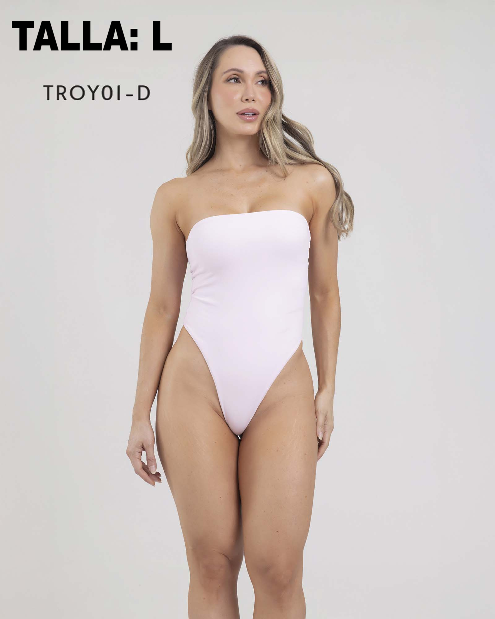 TROY01D L